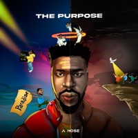 The Purpose - A Mose