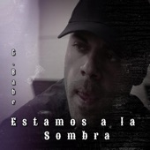 Estamos a la Sombra artwork