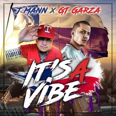 It's a Vibe (feat. GT Garza) - Single