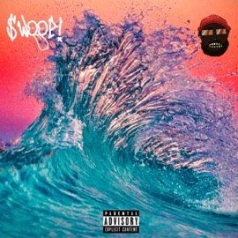 Punchline (feat. Tylord) $woop