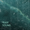 Rain Sound - Jungle - Rain Sound
