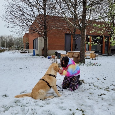 tuanayankses - letsmon