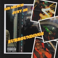 Surroundings - Single - Mr Meach & Just Ab