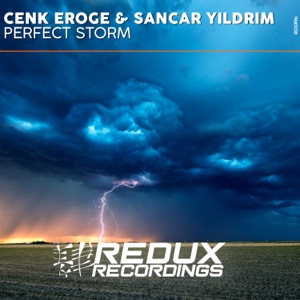 Perfect Storm - Single