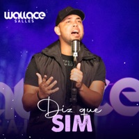 Diz Que Sim - Single - Wallace Salles