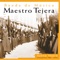 La Saeta - Banda de Musica del Maestro Tejera lyrics