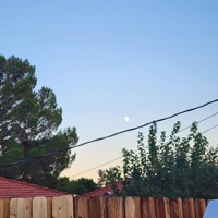 39 - Single - Jato Fett