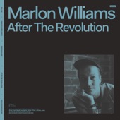 After the Revolution artwork