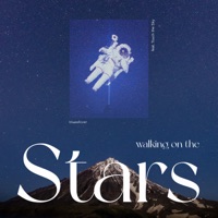 Walking on the Stars (feat. Touch the Sky) - Single - blueallover