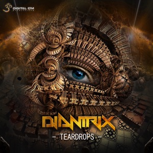Teardrops - Single
