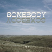Somebody Somebody - Single - OAKS