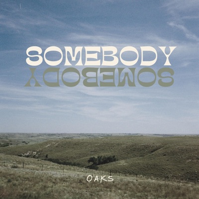 Somebody Somebody - Single