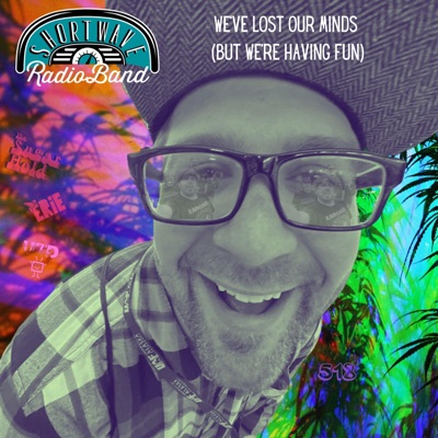 We've Lost Our Minds (But, We're Having Fun) - Single