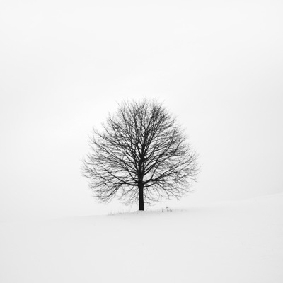 Solitary - Single