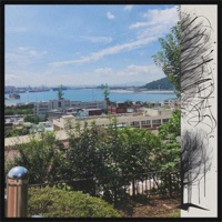 Iced Drinks - Single - Bitter Blossom & Blurred Figures