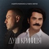 Душі Криниця - Single