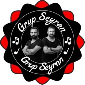 Grup Seyran Yare Yare Yaramin / dillerdeki türküler artwork