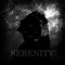 Serenity - DARKST lyrics