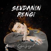 Sevdanın Rengi artwork