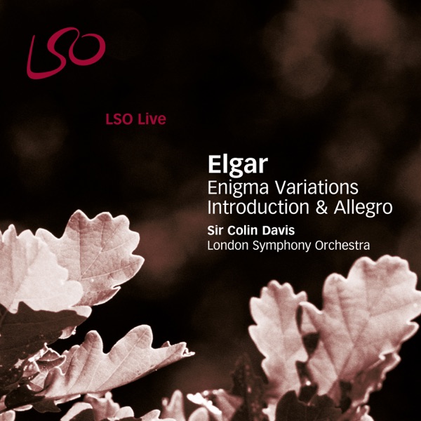 Elgar: Enigma Variations, Introduction & Allegro (Live)