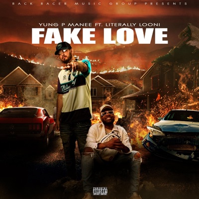 Fake Love (feat. Literally Looni) - Single