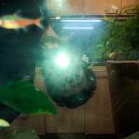 SWEAT - Single - Adler Jack