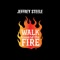 Walk Toward the Fire artwork