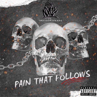 Pain That Follows (feat. INDIGOMERKABA) - Single