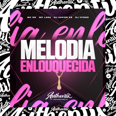 Melodia Enlouquecida (feat. Mc Lara, DJ XAVIER ZS & Mc Rd) - Single