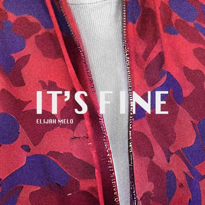 It's Fine - Single