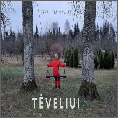 Tėveliui (feat. VISI) - Single