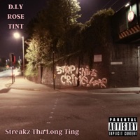 D.I.Y Rose Tint - Single - Streakz Tha Long Ting