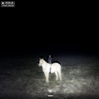 Living On Right Destruction - SCAR