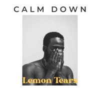 Calm Down - Single - Lemon Tears