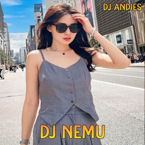 DJ Andies - DJ Nemu SLow Remix - Line Dance Musik