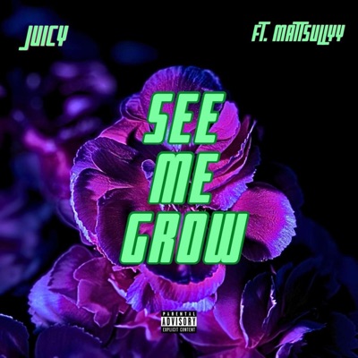 See Me Grow (feat. Mattsullyy) - Single