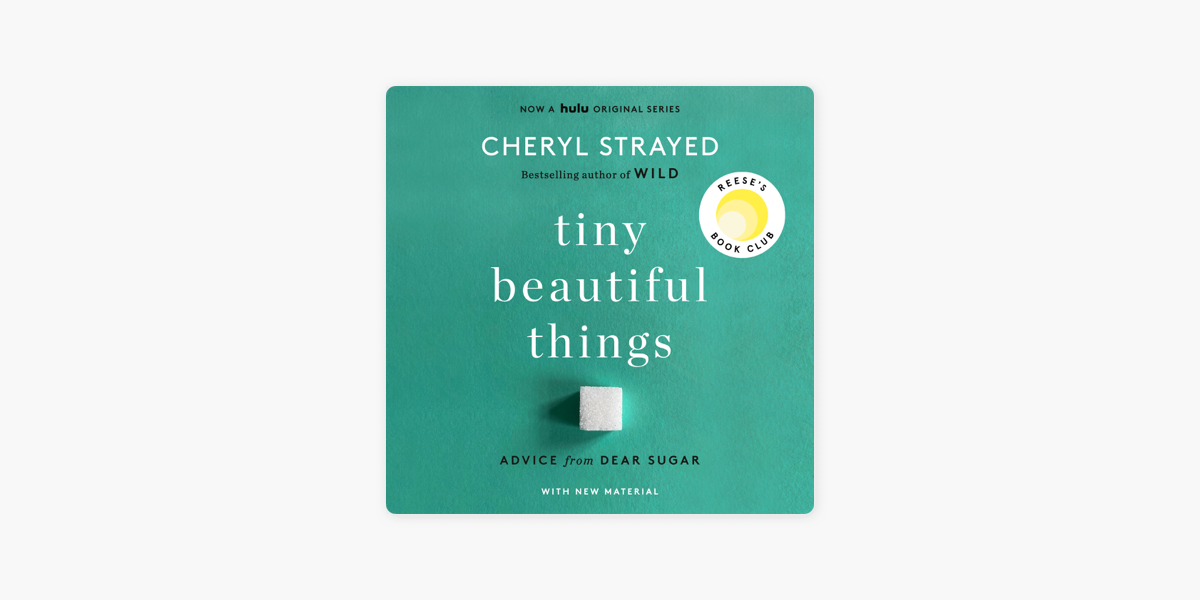 Things We Never Got Over (Unabridged) on Apple Books