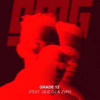 Grade 12 (feat. Que DJ & Zvri) - Single - Omagoqa