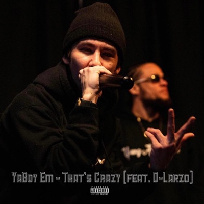 That's Crazy (feat. D-Larzo) - Single