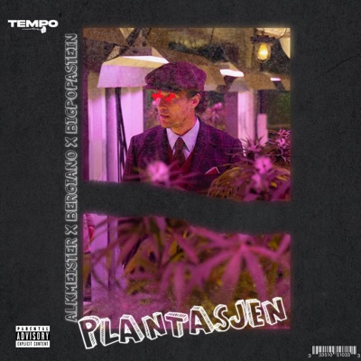 Plantasjen 2024 - Single