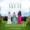 Som de Muitas Águas: Coral das Mulheres 14 - Single