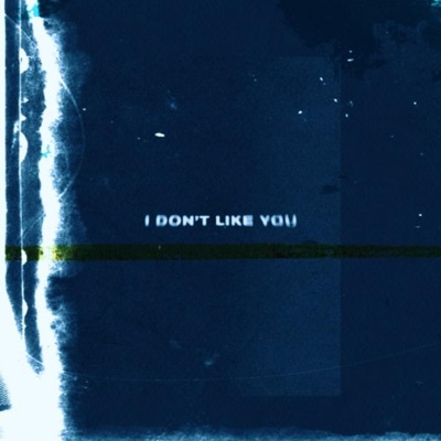 I DON'T LIKE YOU - Single