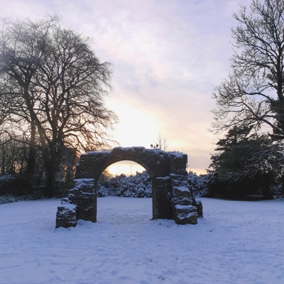 It's Always Been You. - Single