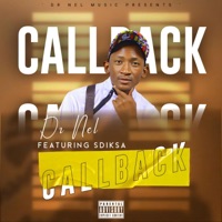 CallBack (feat. Sdiksa) - Single - Dr Nel