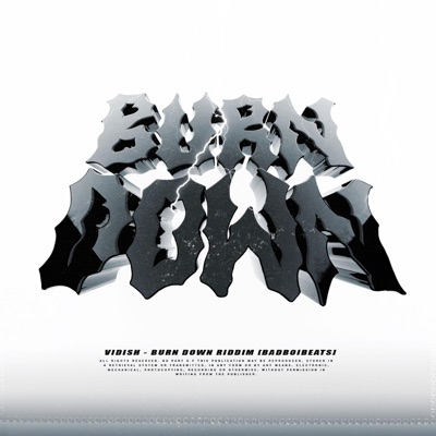 Burn Down - Single