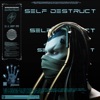 Self Destruct - Single