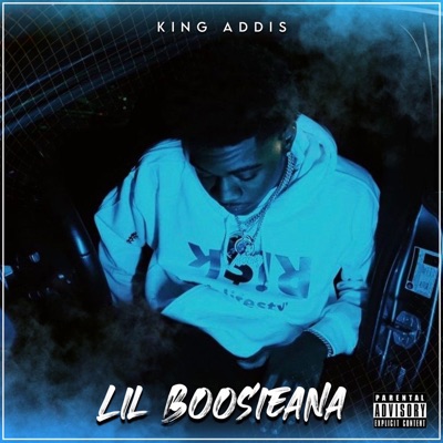 Lil Boosieana - Single