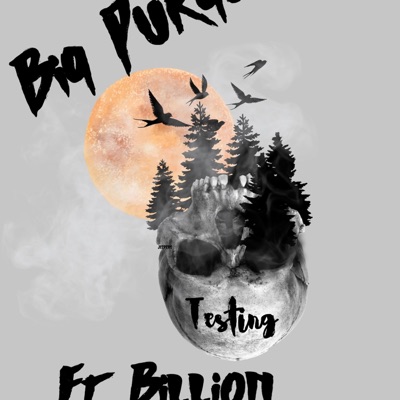 Testing (feat. Billion) - Single
