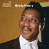 The Definitive Collection - Muddy Waters
