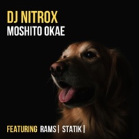 Moshito Okae (feat. Rams & Statik) - Single - DJ Nitrox